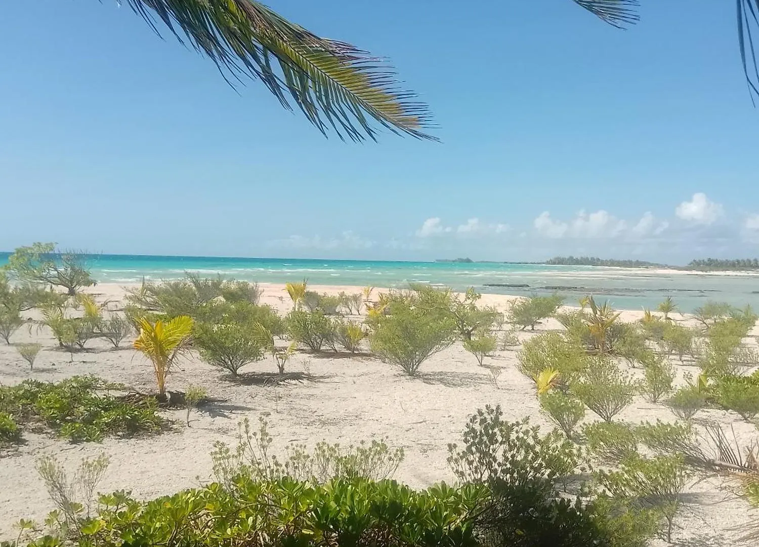 Tikehau Fare Li Mei Tatil Evi